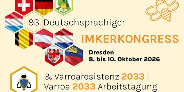 Dresden - wir kommen