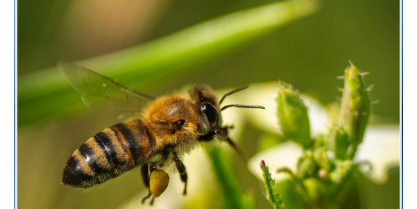 Jahresbericht VLI 2025